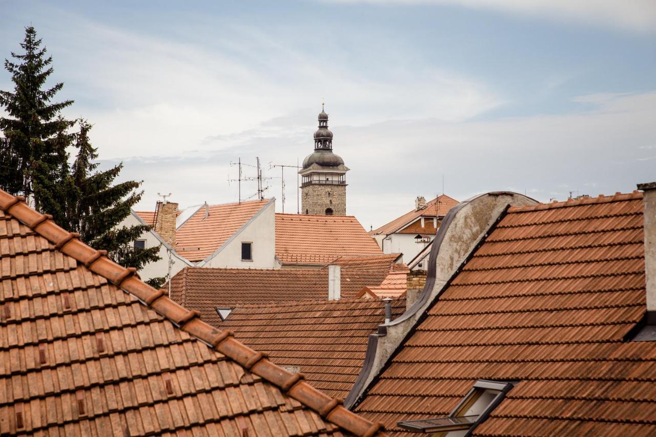 Apartmany Zadni Mlyn Ceske Budejovice Kültér fotó